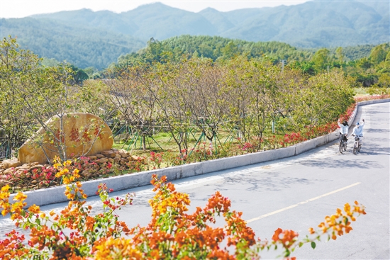 村道漂亮了，不少騎友從沙坪騎行到城西村，呼吸這里清新的空氣。