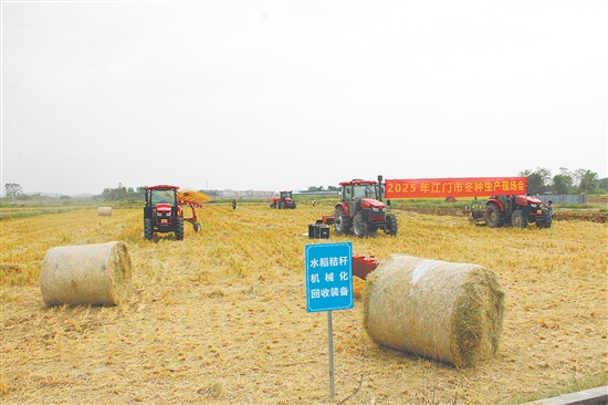2025年江門市冬種生產(chǎn)現(xiàn)場(chǎng)會(huì)展示的農(nóng)機(jī)主要來自恩平市社村合作農(nóng)業(yè)發(fā)展有限公司，其中部分農(nóng)機(jī)技術(shù)正在申報(bào)專利。