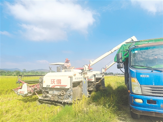 牛江鎮(zhèn)農(nóng)產(chǎn)品綜合服務(wù)站可以為廣大農(nóng)戶提供水稻種植全程社會(huì)化服務(wù)。