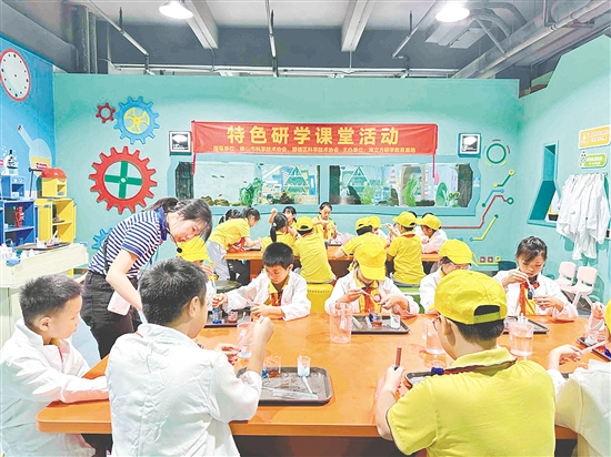 每個(gè)學(xué)期，交貝石小學(xué)都會(huì)組織學(xué)生參加特色研學(xué)活動(dòng)。