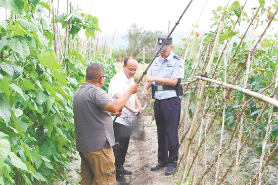 工作人員深入重點區(qū)域開展巡邏清網(wǎng)。