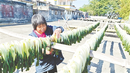 在水步鎮(zhèn)羅邊永樂村，一幅幅生動的“曬秋圖”正在上演。