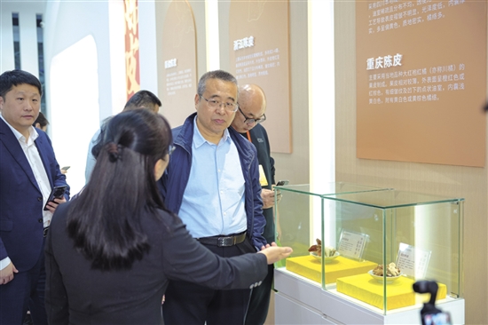參與活動的嘉賓現場了解中國陳皮貿易中心。