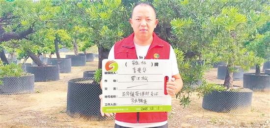 工作人員為種植戶辦理花卉苗木氣象指數(shù)保險承保出單。