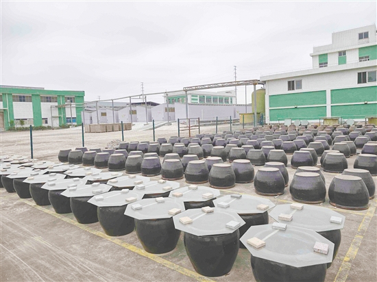 蘭花醬油制作遵循傳統(tǒng)工藝，曬池中的醬醅需歷經120多天露天生曬。
