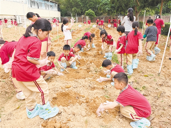 該校打造“幸福勞動(dòng)種植基地”，讓學(xué)生全程參與播種、養(yǎng)護(hù)、生長、收獲全周期農(nóng)耕體驗(yàn)。