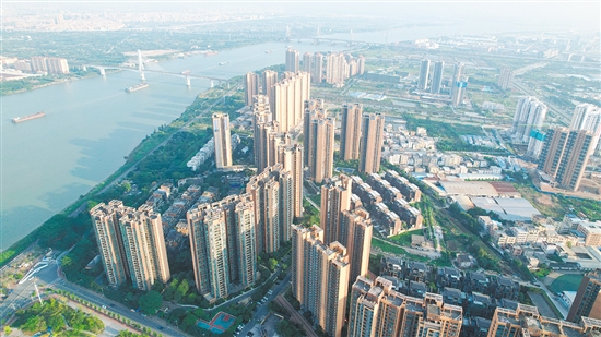 外海板塊樓盤多了起來。