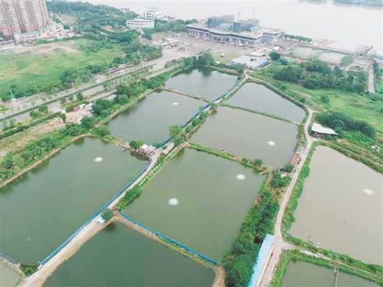 臨江路與金甌路交界西南側(cè)地塊位于外海港澳碼頭西側(cè)。