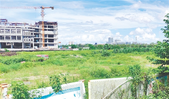 江門市JCR2025-100（新會18）號地。