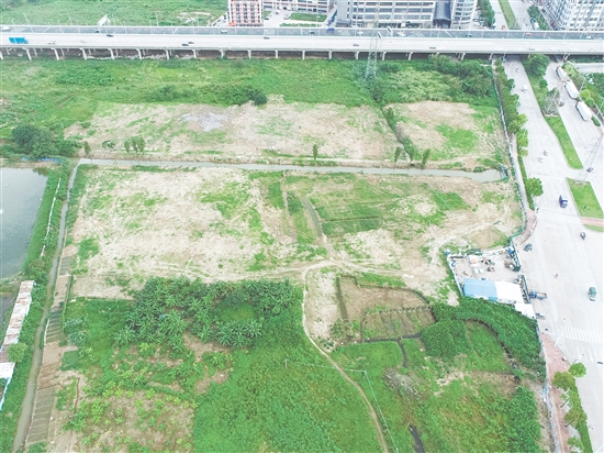 江門市JCR2025-101（江海08）號地位于江海區(qū)外海片區(qū)。