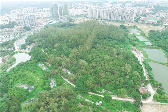 江門市JCR2025-188（臺山27）號地。