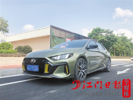 影豹的外觀運動感十足。