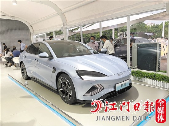 海豹外觀年輕運動。