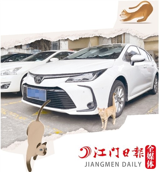 車主停車時，盡量減少停在流浪貓出沒的地方。