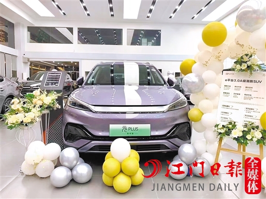 元PLUS冠軍版簡(jiǎn)約時(shí)尚，圓潤(rùn)好看。